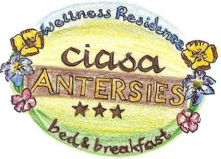 Family And Wellness Residence Ciasa Antersies San Cassiano  Bagian luar foto