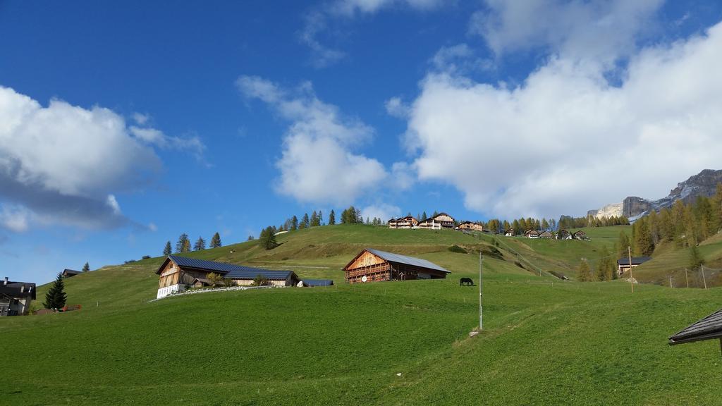 Family And Wellness Residence Ciasa Antersies San Cassiano  Bagian luar foto